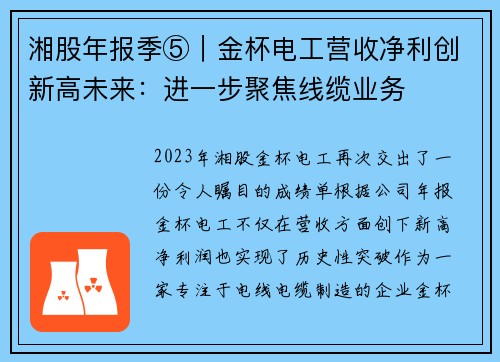 湘股年报季⑤｜金杯电工营收净利创新高未来：进一步聚焦线缆业务