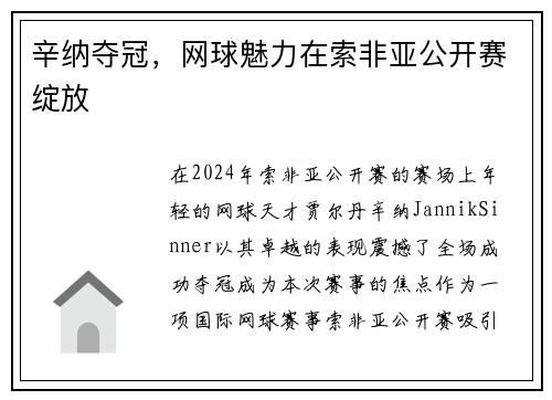 辛纳夺冠，网球魅力在索非亚公开赛绽放