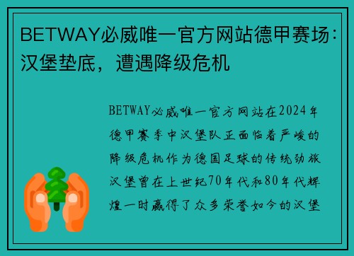 BETWAY必威唯一官方网站德甲赛场：汉堡垫底，遭遇降级危机