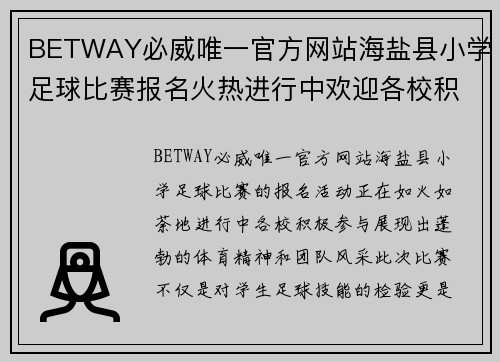 BETWAY必威唯一官方网站海盐县小学足球比赛报名火热进行中欢迎各校积极参与展示风采